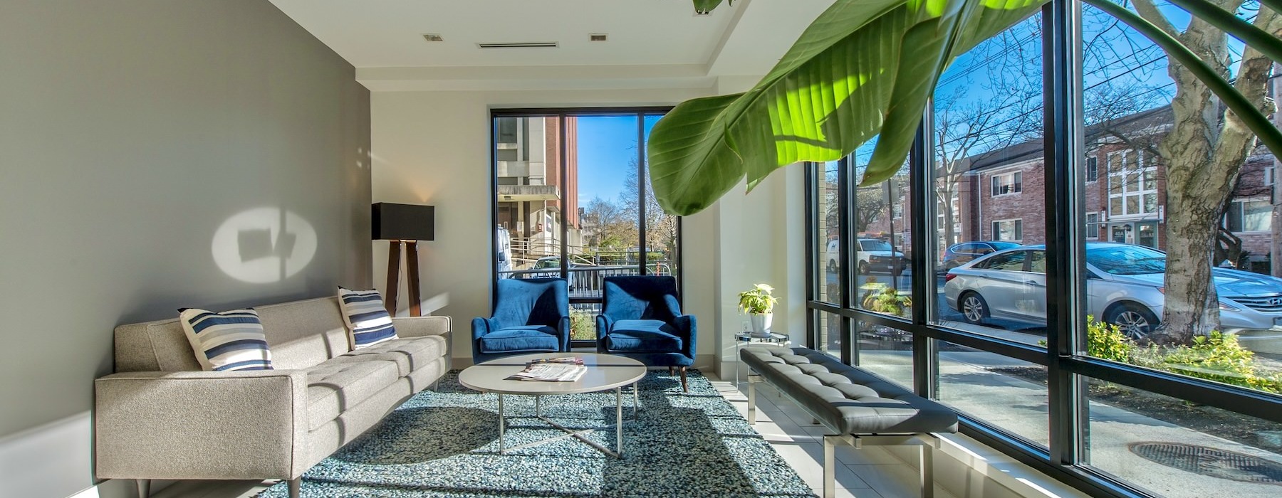 a lobby with a couch, chairs and a plant