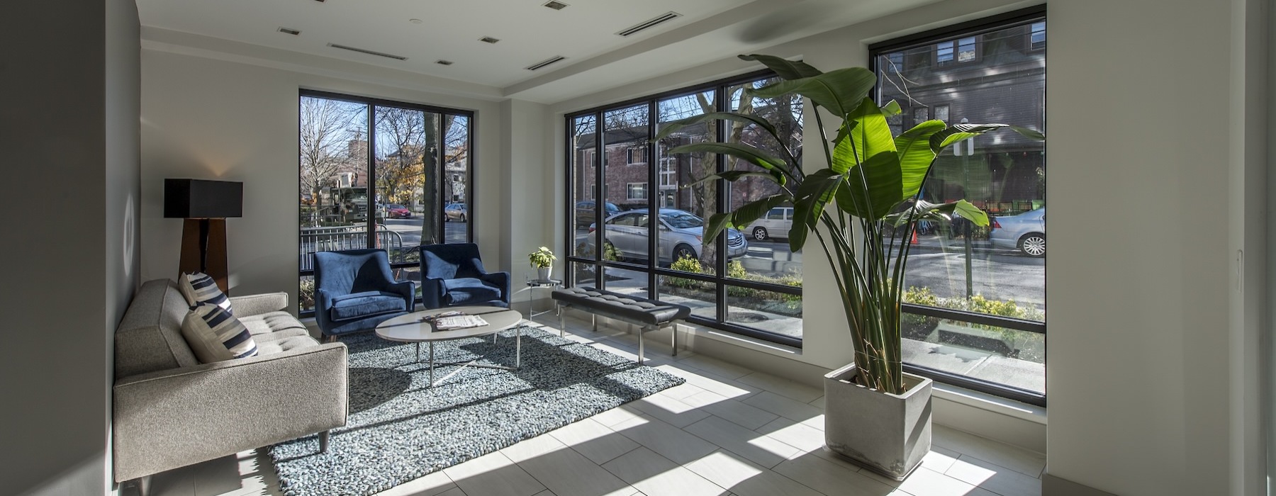 a lobby with couches and a plant